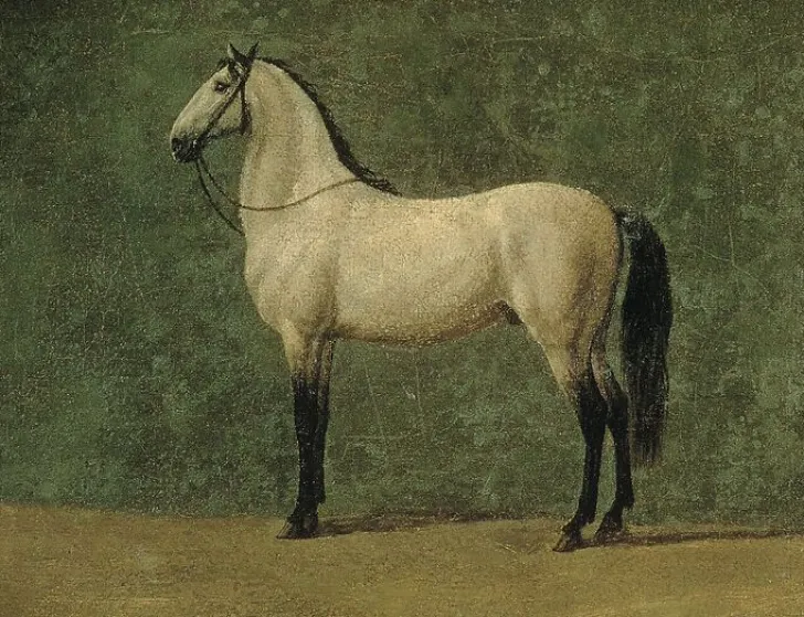 Cheval de Napoléon 1er "le Familier" (toiles encadrées) Toiles Encadrées|Toiles Sur Châssis