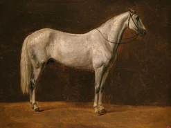 Hot Cheval de Napoléon : "Le Sahara" (panneaux aluminium) Panneaux Aluminium|Panneaux Acryliques