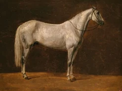 Cheval de Napoléon : "Le Sahara" (toiles encadrées)