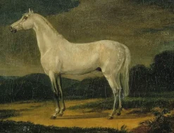 Cheval de Napoléon "le Vizir" (toiles encadrées)