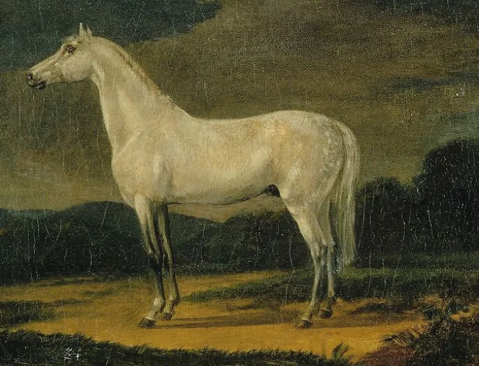 Cheval de Napoléon "le Vizir" (toiles encadrées)