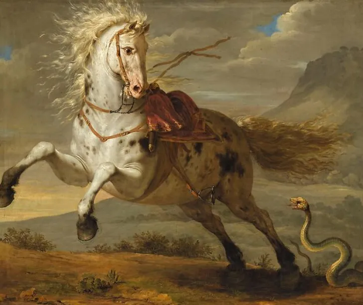 Best Cheval effrayé par un serpent (toiles sur châssis) Toiles Sur Châssis|Affiches D'Art