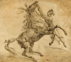 Cheval tenu à la bride, en se cabrant (panneaux aluminium)