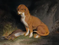 Chien gardant un lapin mort (toiles sans cadre)