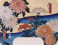 Chrysanthèmes (toiles encadrées)