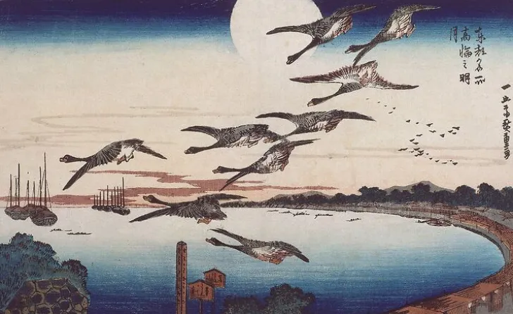 New Clair de lune à Takanawa (affiches d'art) Affiches D'Art|Affiches D'Art Encadrées
