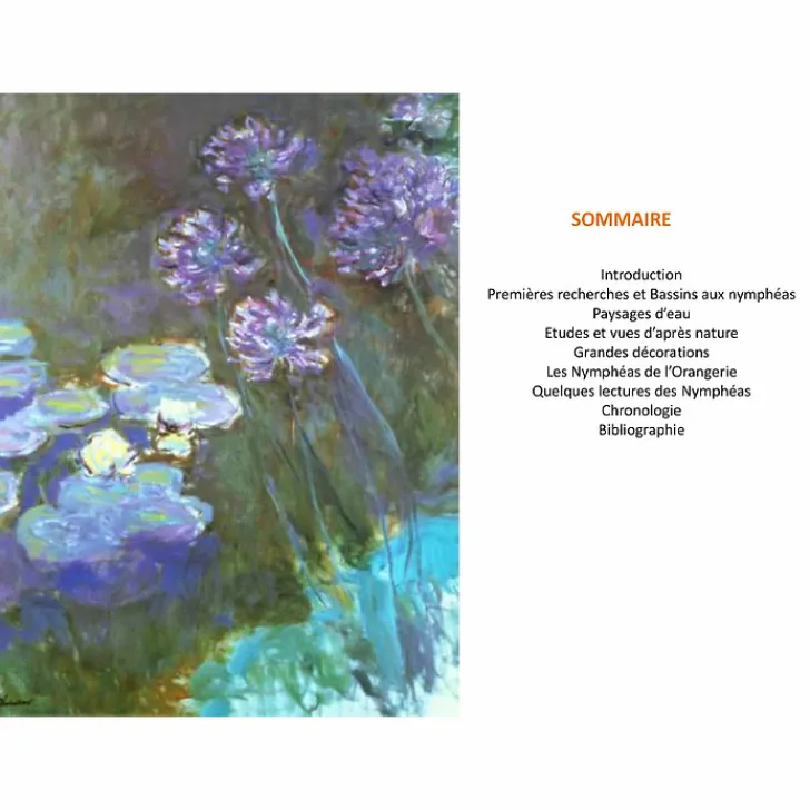 Claude Monet Nymphéas Monographies