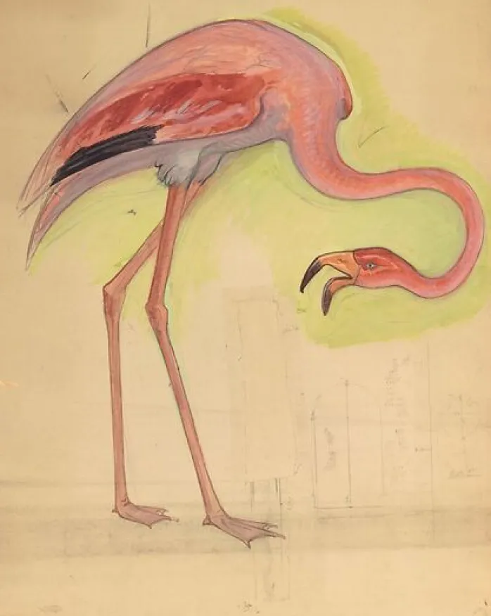Comptoir d'Escompte : escalier d'honneur : flamant rose (panneaux aluminium)