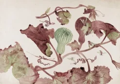 Courge et guêpes (toiles sur châssis)