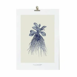 Sale Décoration murale Herbier du roi A3 - Bleue - Maison Baluchon Affiches Et Reproductions