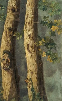 Deux troncs d'arbres avec feuillages et branche de lierre (toiles encadrées)