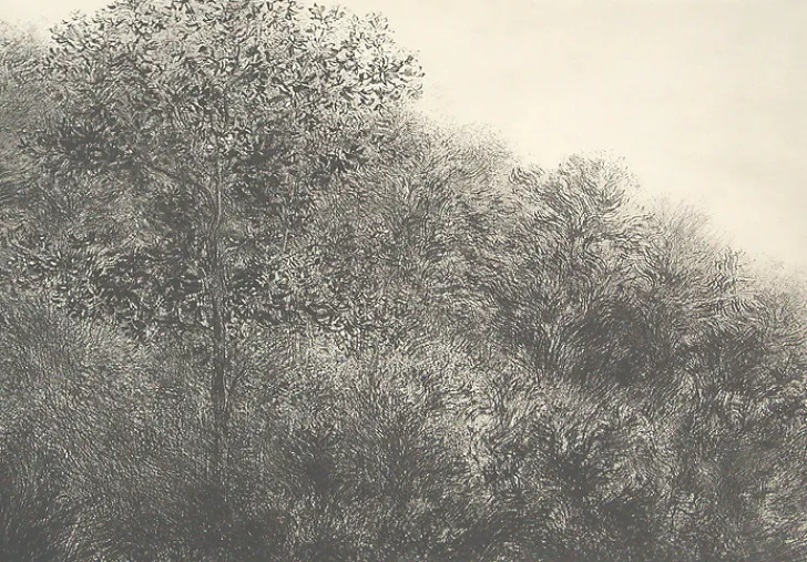 New Estampe Allant vers les roches noires - Bertrand Henry 2001 Créations Contemporaines