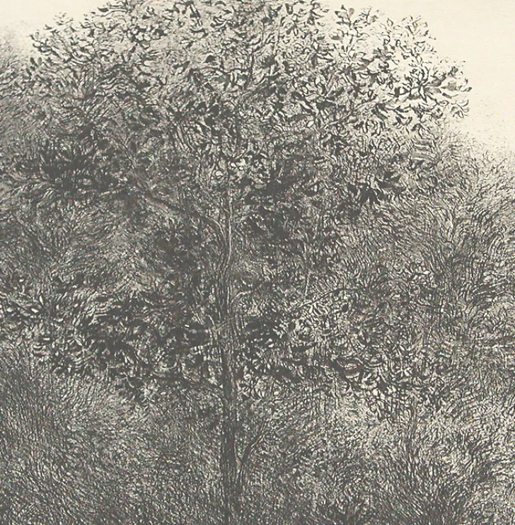 New Estampe Allant vers les roches noires - Bertrand Henry 2001 Créations Contemporaines