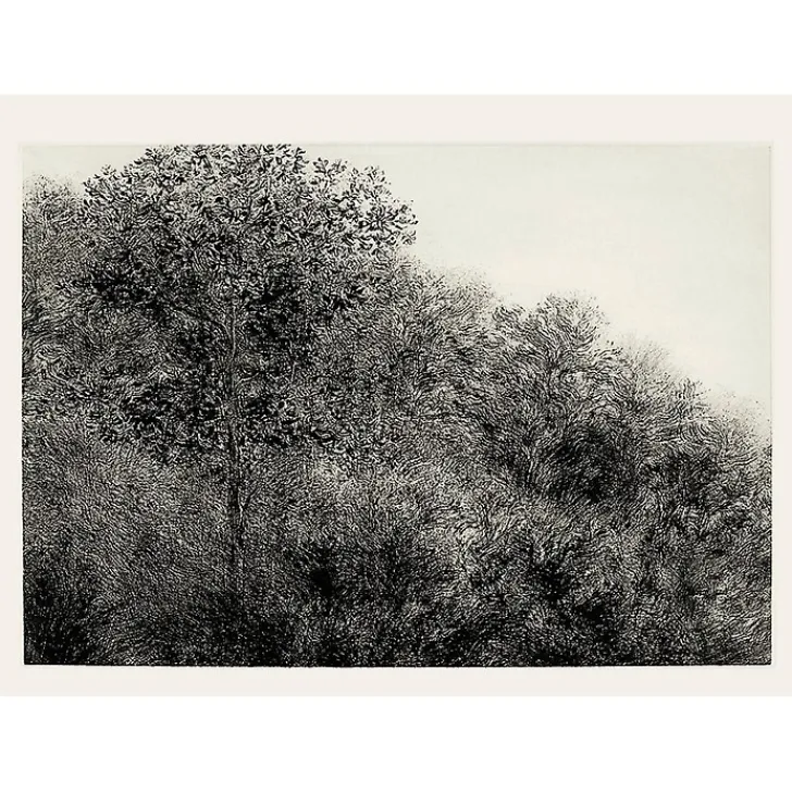 New Estampe Allant vers les roches noires - Bertrand Henry 2001 Créations Contemporaines