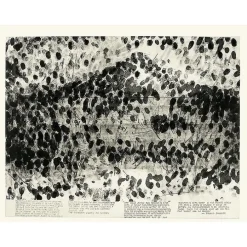 Estampe Blind Time V (Temps aveugle V) - Robert Morris