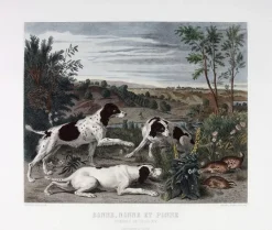 Sale Estampe Bonne, Nonne et Ponne, chiennes de la meute de Louis XIV - François Desportes Chefs D'Œuvre Des Musées