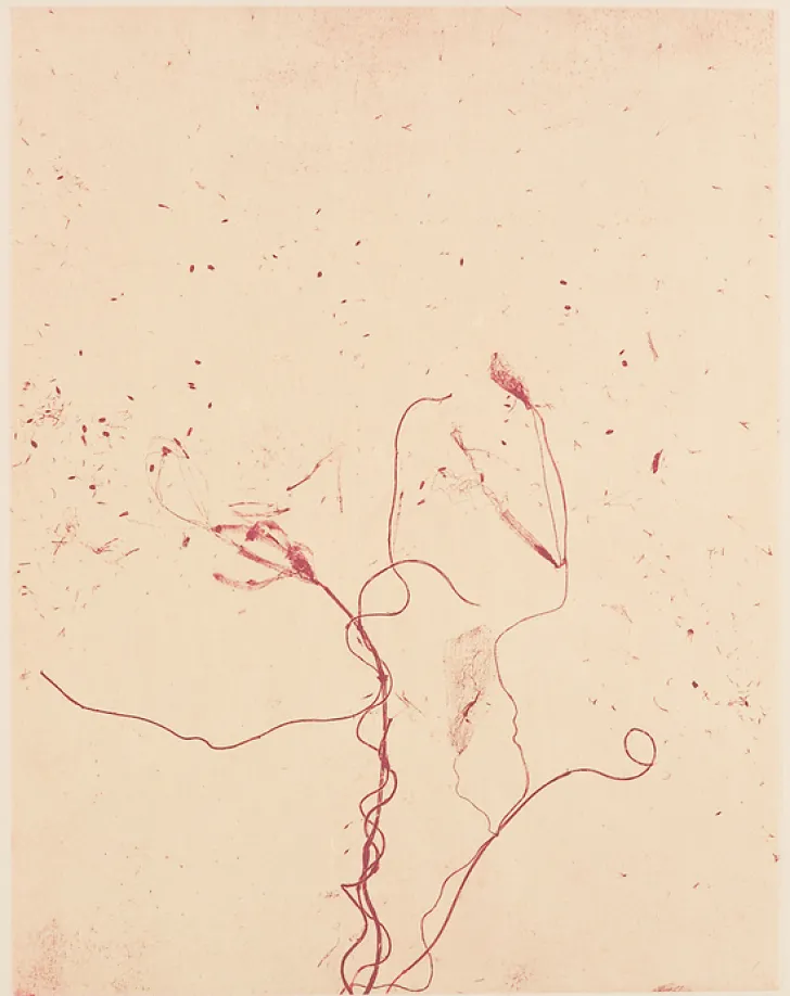 Best Estampe Celles qui disparaissent, Celles qui se créent (ouest) - Mireille Gros Créations Contemporaines