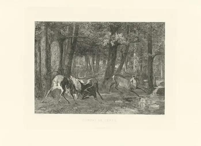 Estampe Combat de cerfs - Gustave Courbet