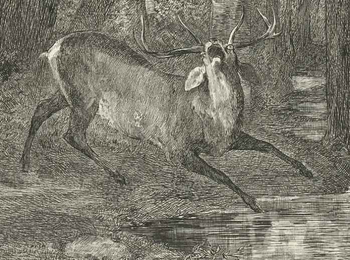 Estampe Combat de cerfs - Gustave Courbet
