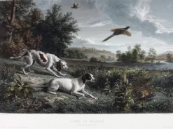 Estampe Diane et Blonde, chiennes de Louis XIV, chassant le faisan - François Desportes