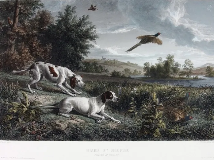 Estampe Diane et Blonde, chiennes de Louis XIV, chassant le faisan - François Desportes