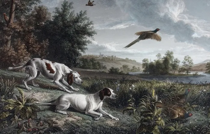 Estampe Diane et Blonde, chiennes de Louis XIV, chassant le faisan - François Desportes
