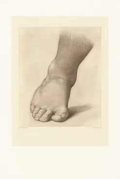 Discount Estampe Etude pour le pied droit du Saint Jean Baptiste dans le désert - Raphaël Dessins|Chefs D'Œuvre Des Musées