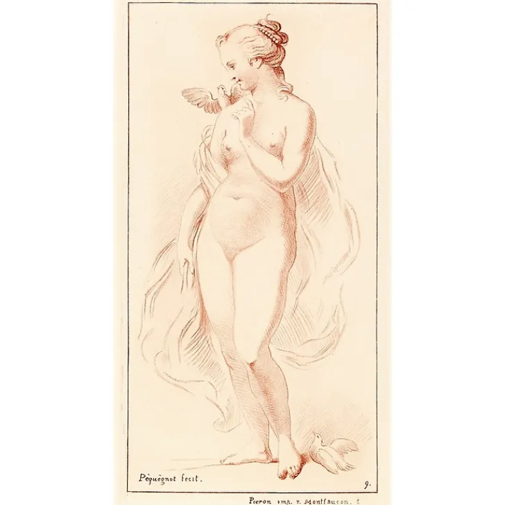 Estampe Femme nue debout ayant une colombe sur l'épaule Chefs D'Œuvre Des Musées