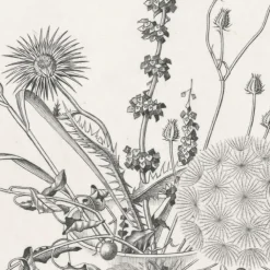 Online Estampe Fleurs des champs dans un verre (automne) - Hasegawa Nature, Fleurs Et Paysages|Art Moderne