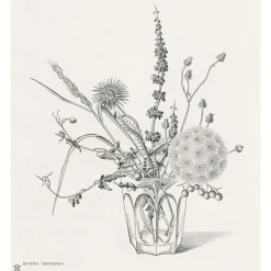 Online Estampe Fleurs des champs dans un verre (automne) - Hasegawa Nature, Fleurs Et Paysages|Art Moderne