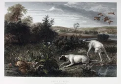 Estampe Folle et Mitte, chiennes de Louis XIV, à l'arrêt devant deux faisans - François Desportes