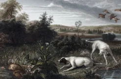 Estampe Folle et Mitte, chiennes de Louis XIV, à l'arrêt devant deux faisans - François Desportes