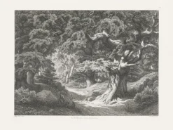 Discount Estampe Forêt de Fontainebleau : le Charlemagne et le Roland - Eugène Bléry Nature, Fleurs Et Paysages|Chefs D'Œuvre Des Musées