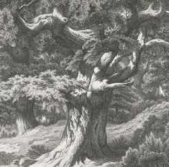 Discount Estampe Forêt de Fontainebleau : le Charlemagne et le Roland - Eugène Bléry Nature, Fleurs Et Paysages|Chefs D'Œuvre Des Musées
