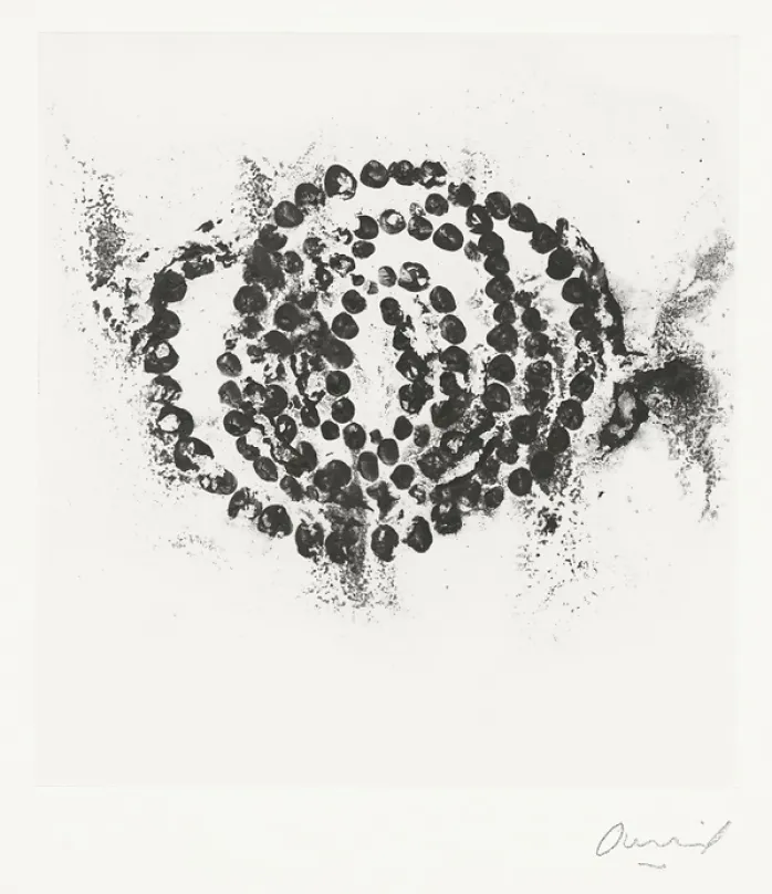 Estampe La rose du Louvre - Jean-Michel Othoniel