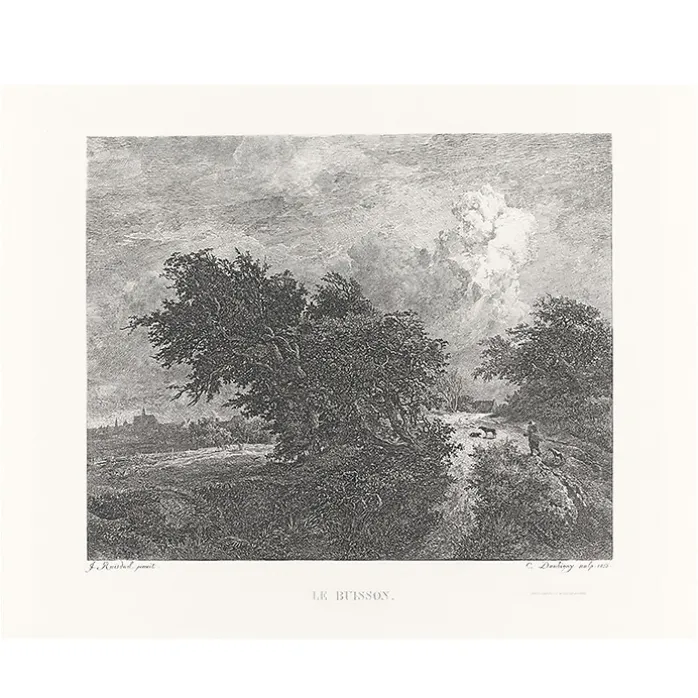 Estampe Le buisson - Van Ruisdael