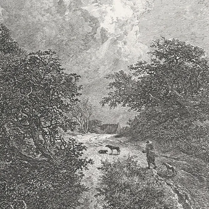 Estampe Le buisson - Van Ruisdael