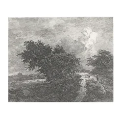 Estampe Le buisson - Van Ruisdael