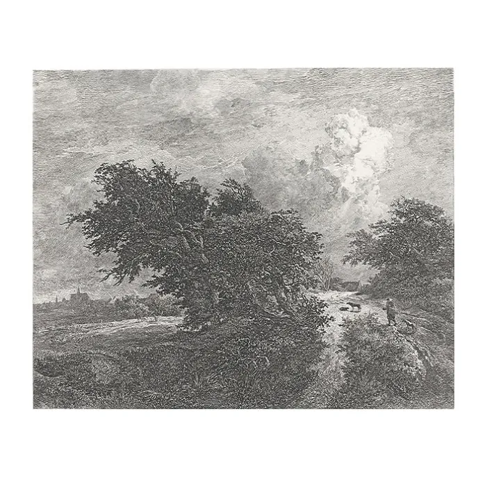 Estampe Le buisson - Van Ruisdael