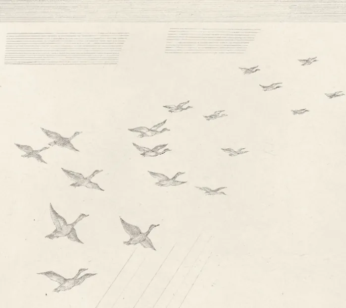 Estampe Le Vol de canards (Grande Brière) - Jean-Emile Laboureur