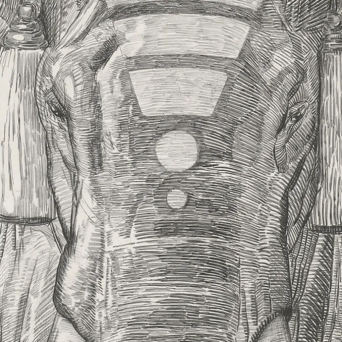 Estampe Paul Jouve - Éléphant du temple de Siva (Indes anglaises)