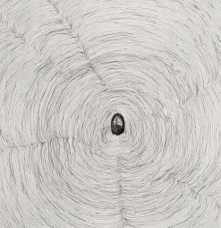 Estampe Propagazione - Giuseppe Penone 2009