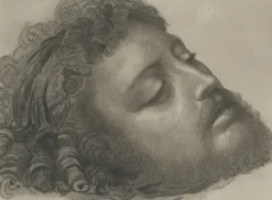 Estampe Saint Jean-Baptiste - Andrea Solario