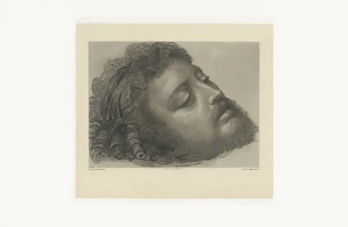 Estampe Saint Jean-Baptiste - Andrea Solario