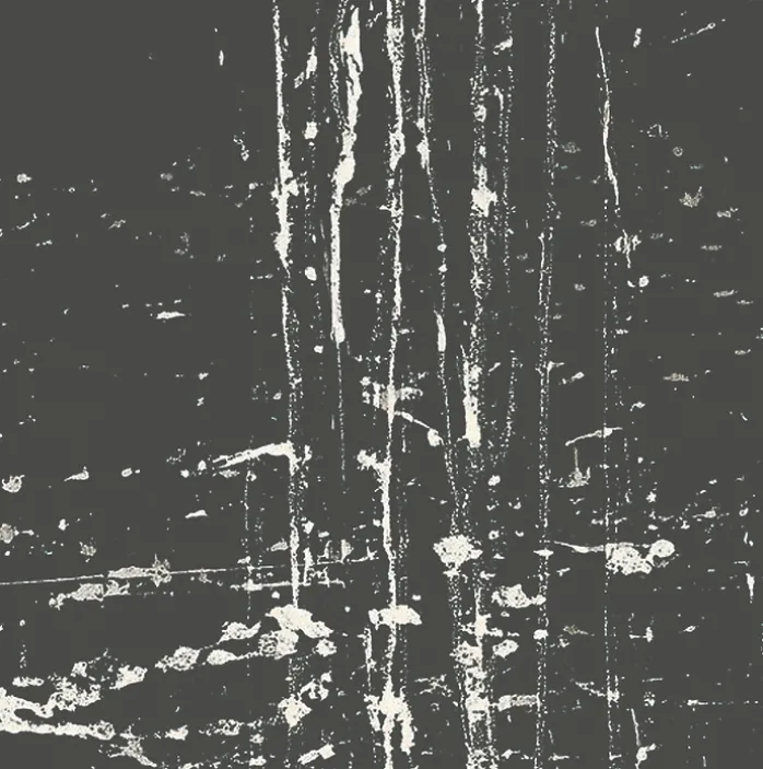 Estampe The dragon king's daughter waterfall - Pat Steir