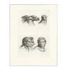 Best Estampe Trois têtes d'aigle et trois têtes d'hommes en relation avec l'aigle Dessins