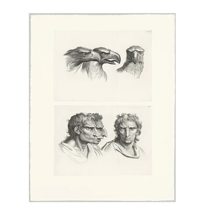 Best Estampe Trois têtes d'aigle et trois têtes d'hommes en relation avec l'aigle Dessins
