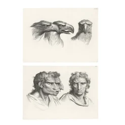 Best Estampe Trois têtes d'aigle et trois têtes d'hommes en relation avec l'aigle Dessins