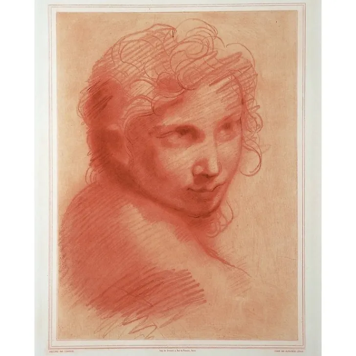 Outlet Estampe Tête de jeune homme - Michelangelo Anselmi Dessins