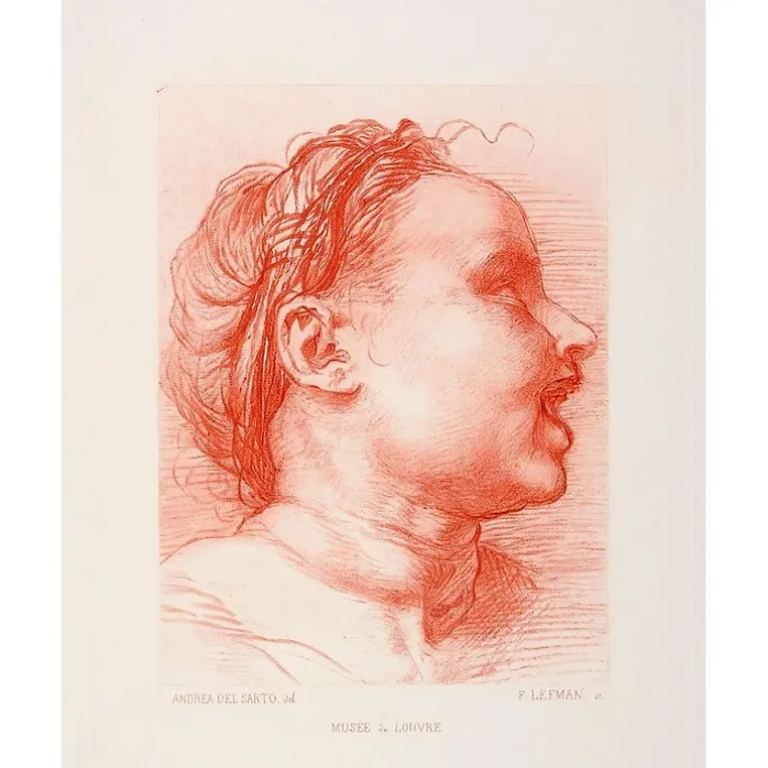 Estampe Tête d'enfant souriant, tourné à droite - Andrea del Sarto